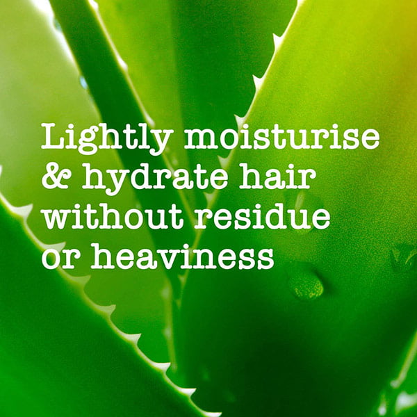 شامپو شیر نارگیل و آلوئه ورا مائویی مخصوص موی خشک | حجم 385 میل 2 شامپو شیر نارگیل و آلوئه ورا مائویی مخصوص موی خشک | حجم 385 میل - Image 2