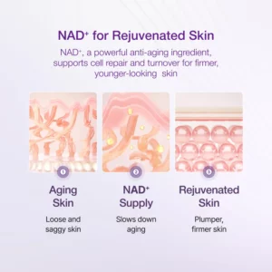 اسنس لیفتینگ نامبوزین شماره 9 با 50 پپتید | ضد چروک و جوانساز 11 L g0215425962