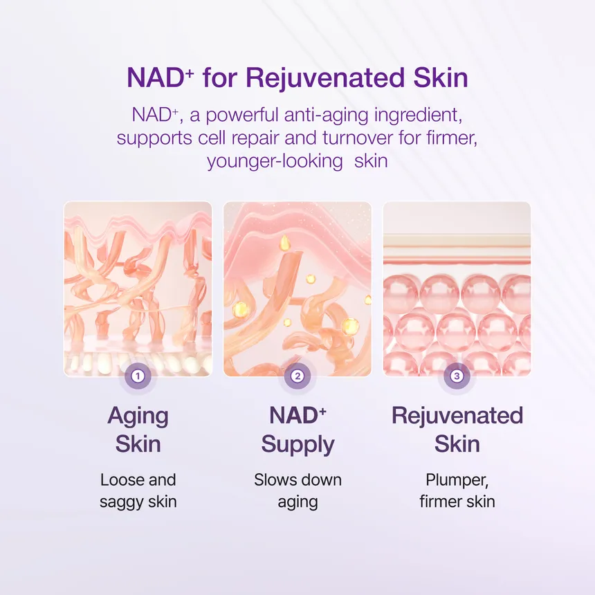 اسنس لیفتینگ نامبوزین شماره 9 با 50 پپتید | ضد چروک و جوانساز 4 اسنس لیفتینگ نامبوزین شماره 9 با 50 پپتید | ضد چروک و جوانساز - Image 4