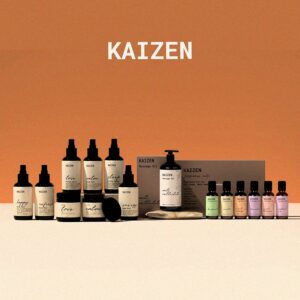 کایزن - Kaizen